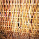 Rattan bench chest