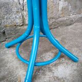 Painted parrot coats door