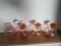 Set of 3 pots and a vintage pink glass vase ht 13.5cm diam 8cm