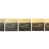 Gerry Hunt (1927 - 2023), set of 5 photographs mounted on wooden panels, United Kingdom 1977