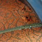 Czech Bentwood Lounge Chairs by J. Halabala for Up Závody, 1950s, Set of 2