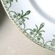 6 flat plates of Saint Amand the waters 30 years