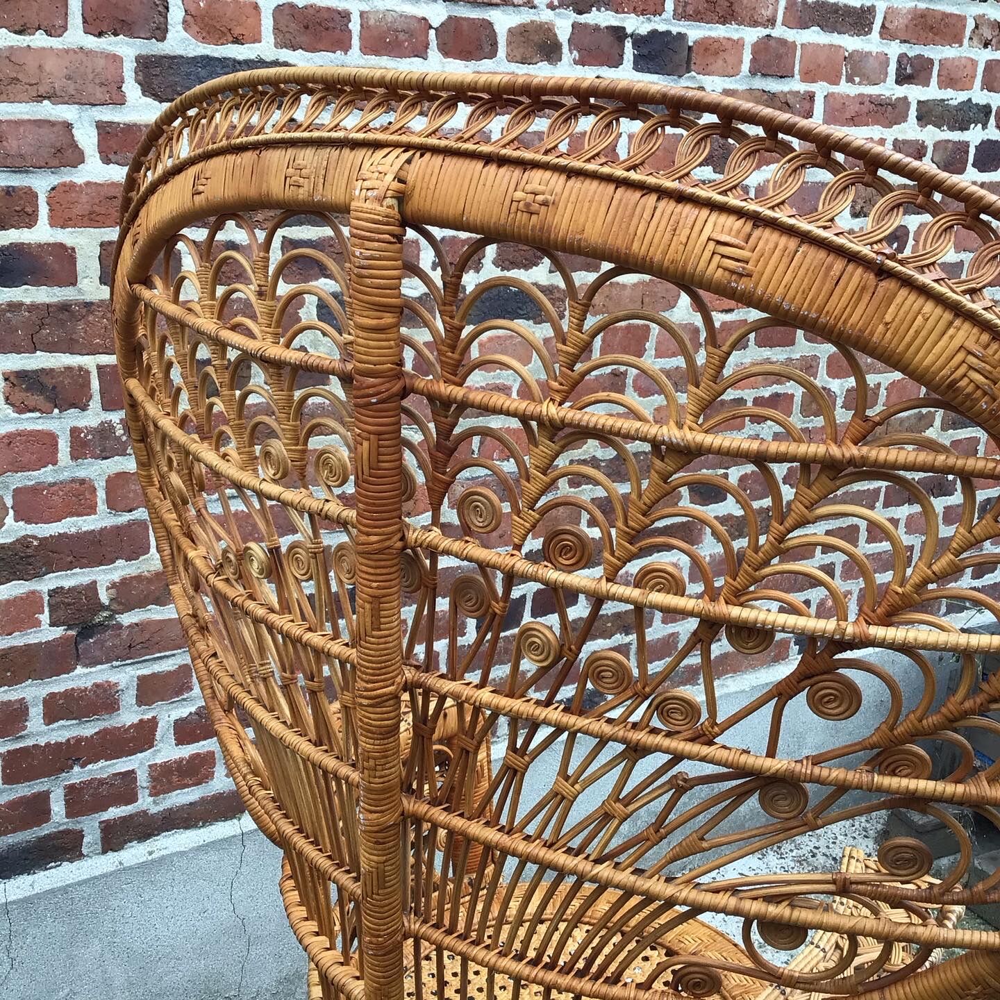 Emmanuelle peacock armchair