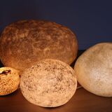 Set of 4 “Dora” model rock lamps by André Cazenave for Atelier A, 1960