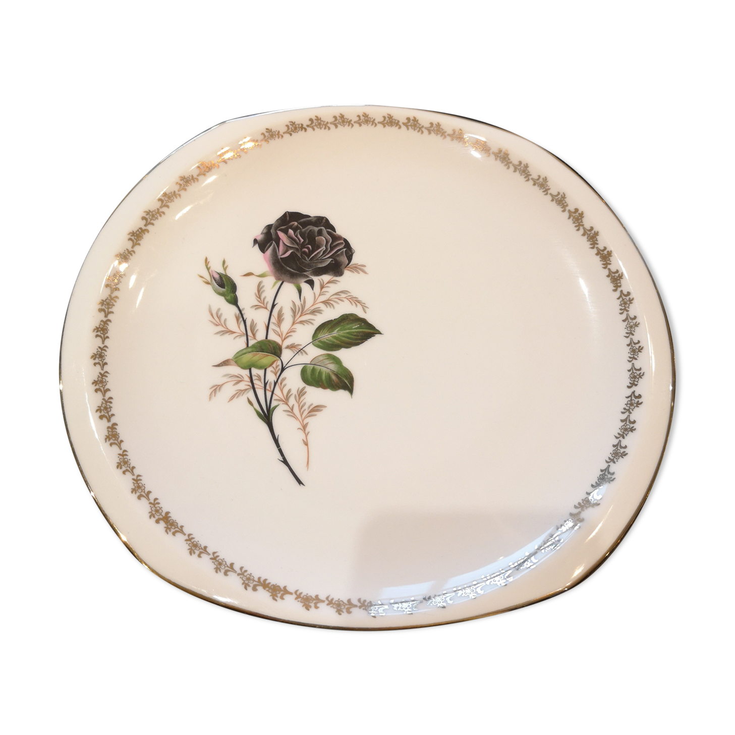 Service 16 porcelain plates from Limoges