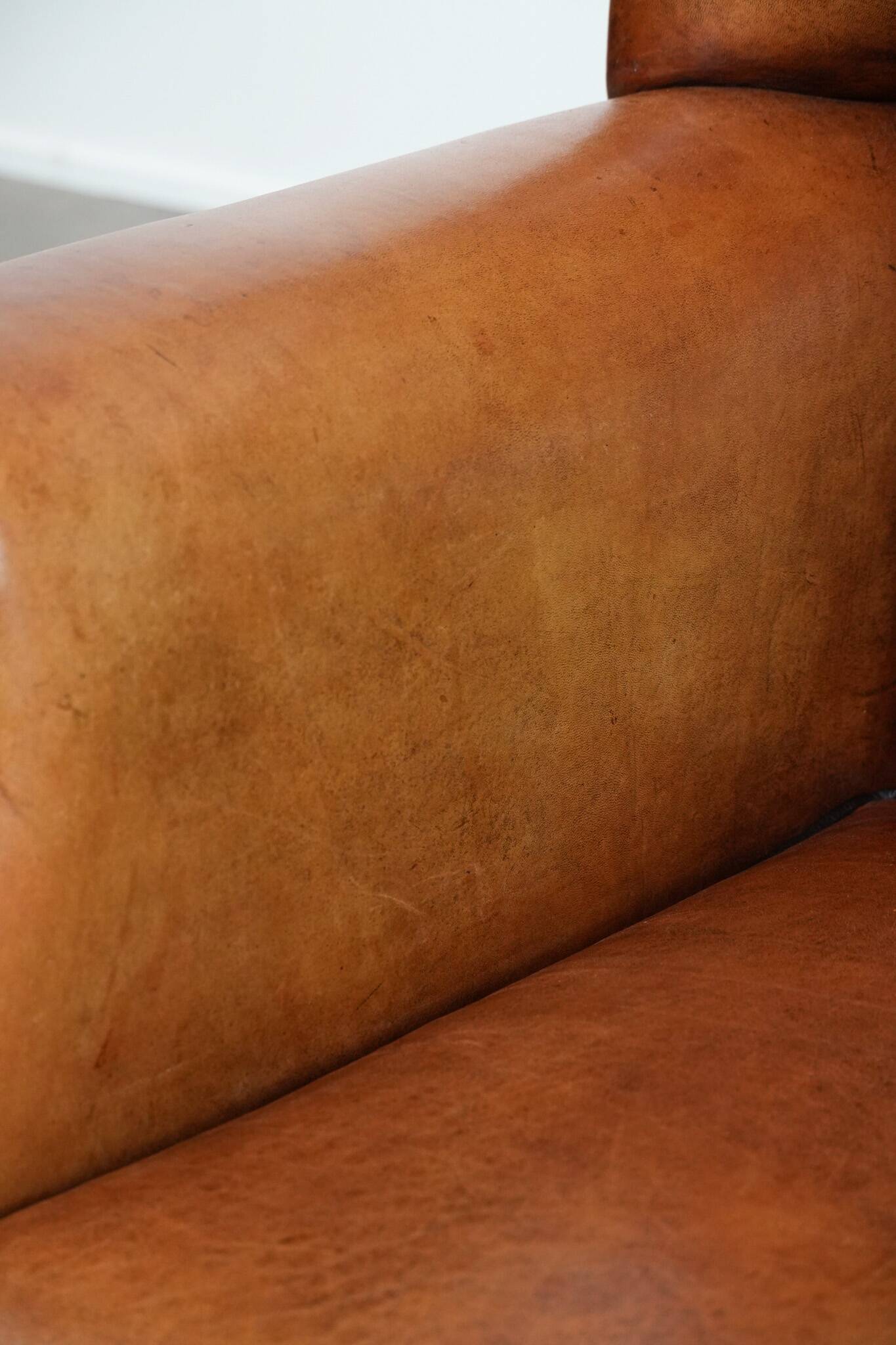 Large sheepskin wingback chair with black piping and decorative nails