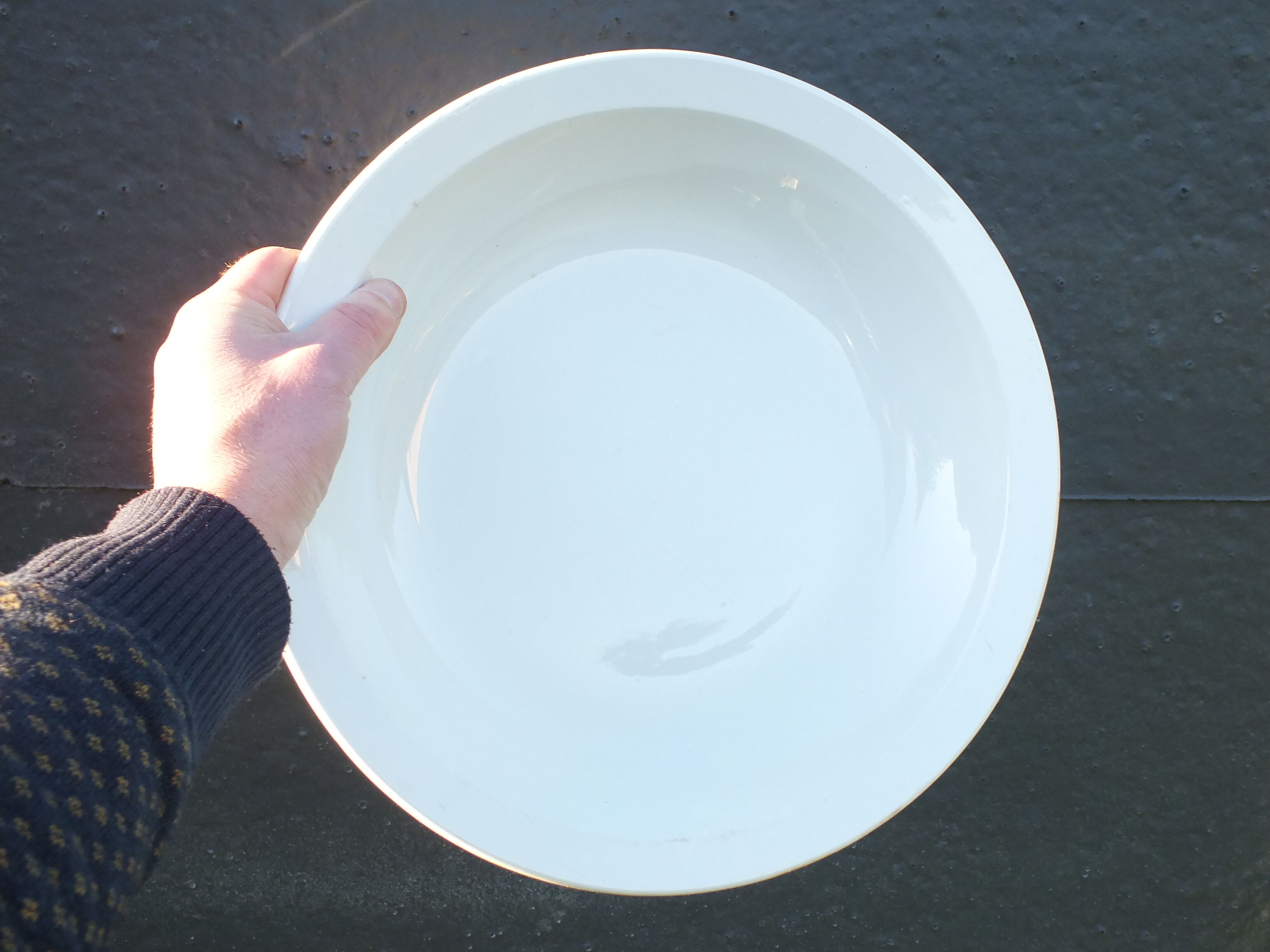 Paire de plats creux blancs Longwy Granit 34cms