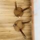 Paire de tabourets