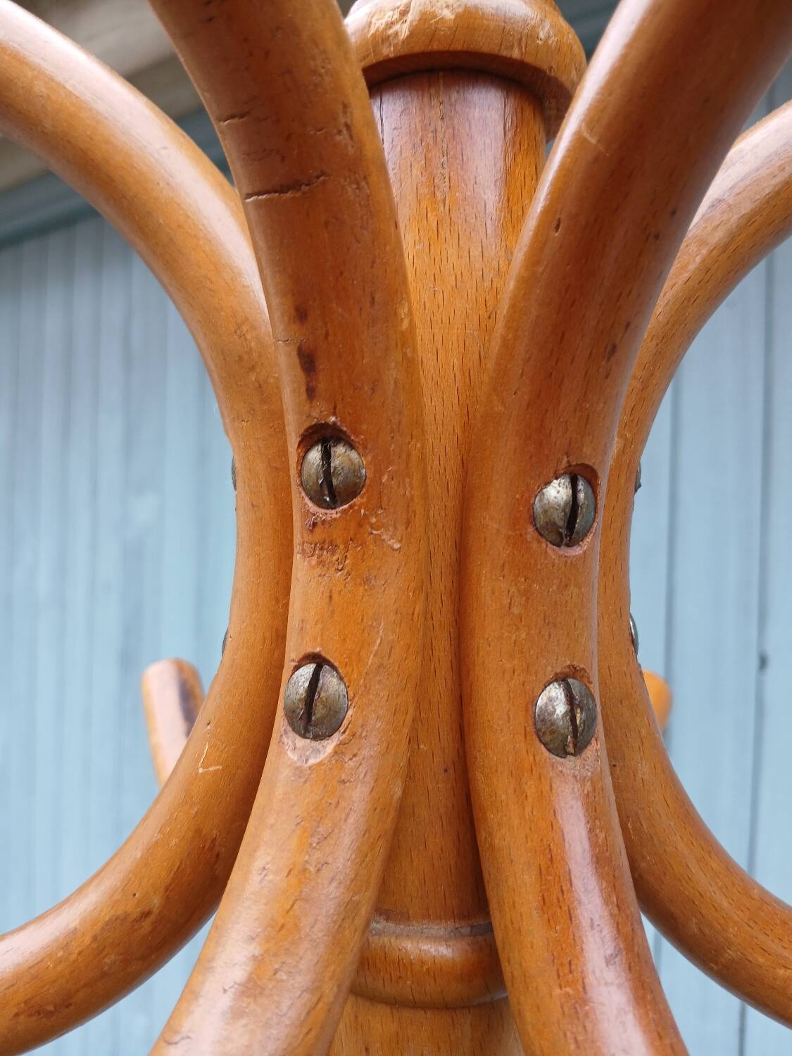 Antique parrot coat rack