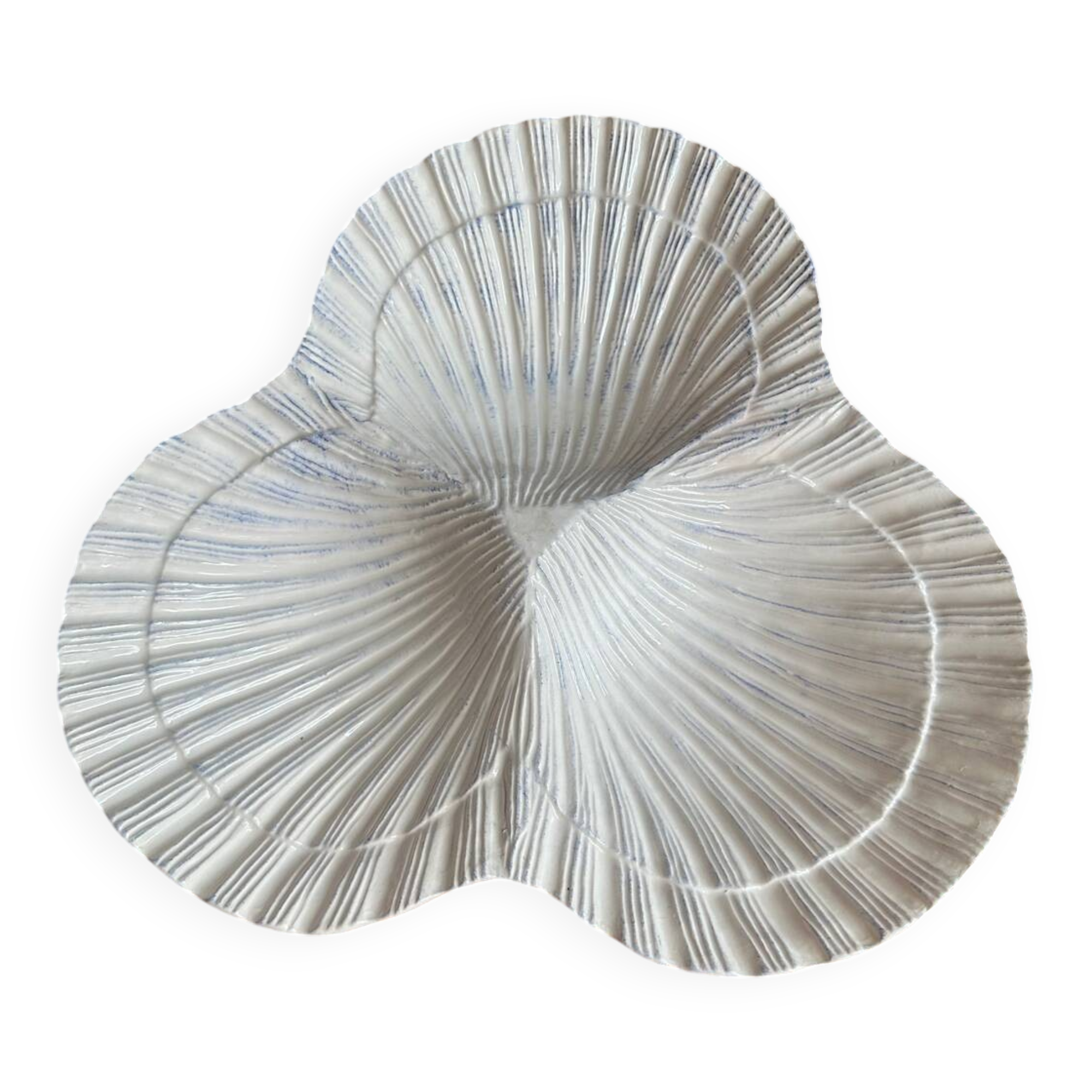 Apertif shell barbotine plate