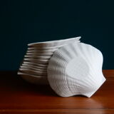 12 scallop shells porcelain biscuit