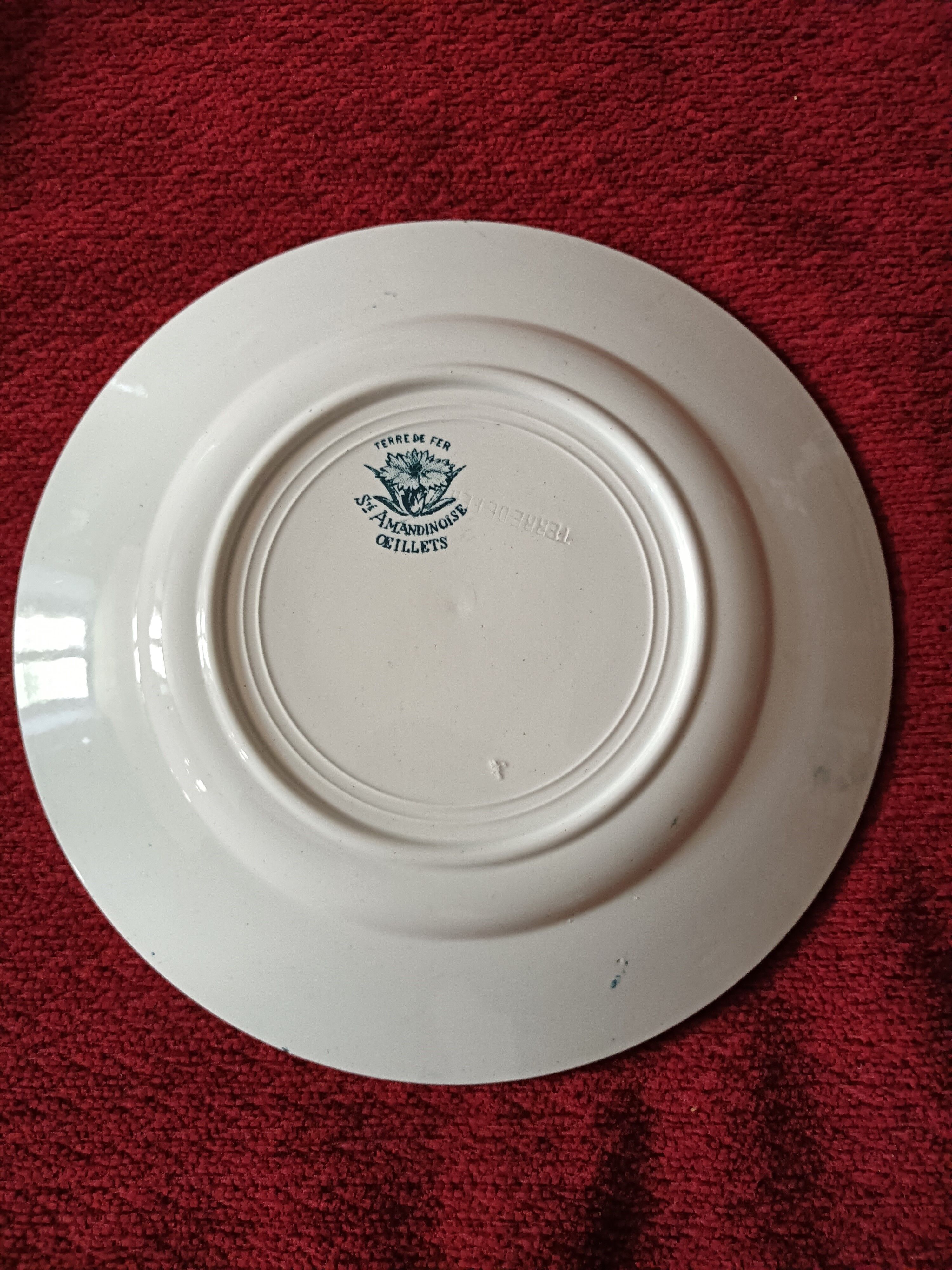 8 Plates Flat Earthenware Old Iron Earth Saint Amand Model Carnations.