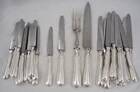 Sfam 24 knives, 12 table knives + 12 dessert cheese knives + carving service.