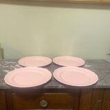 4 Salins pink flat plates