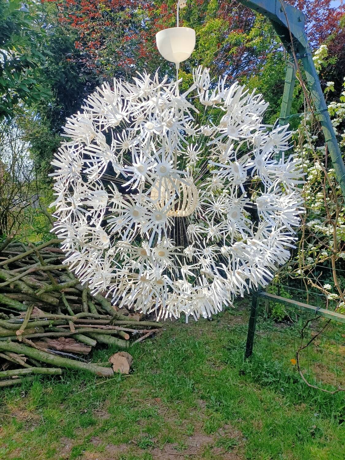 Dandelion pendant light