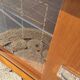 Buffet ou bar vintage pieds compas et roulettes