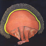 Affiche de Jung-Koch-Quentell "hérisson" 1970