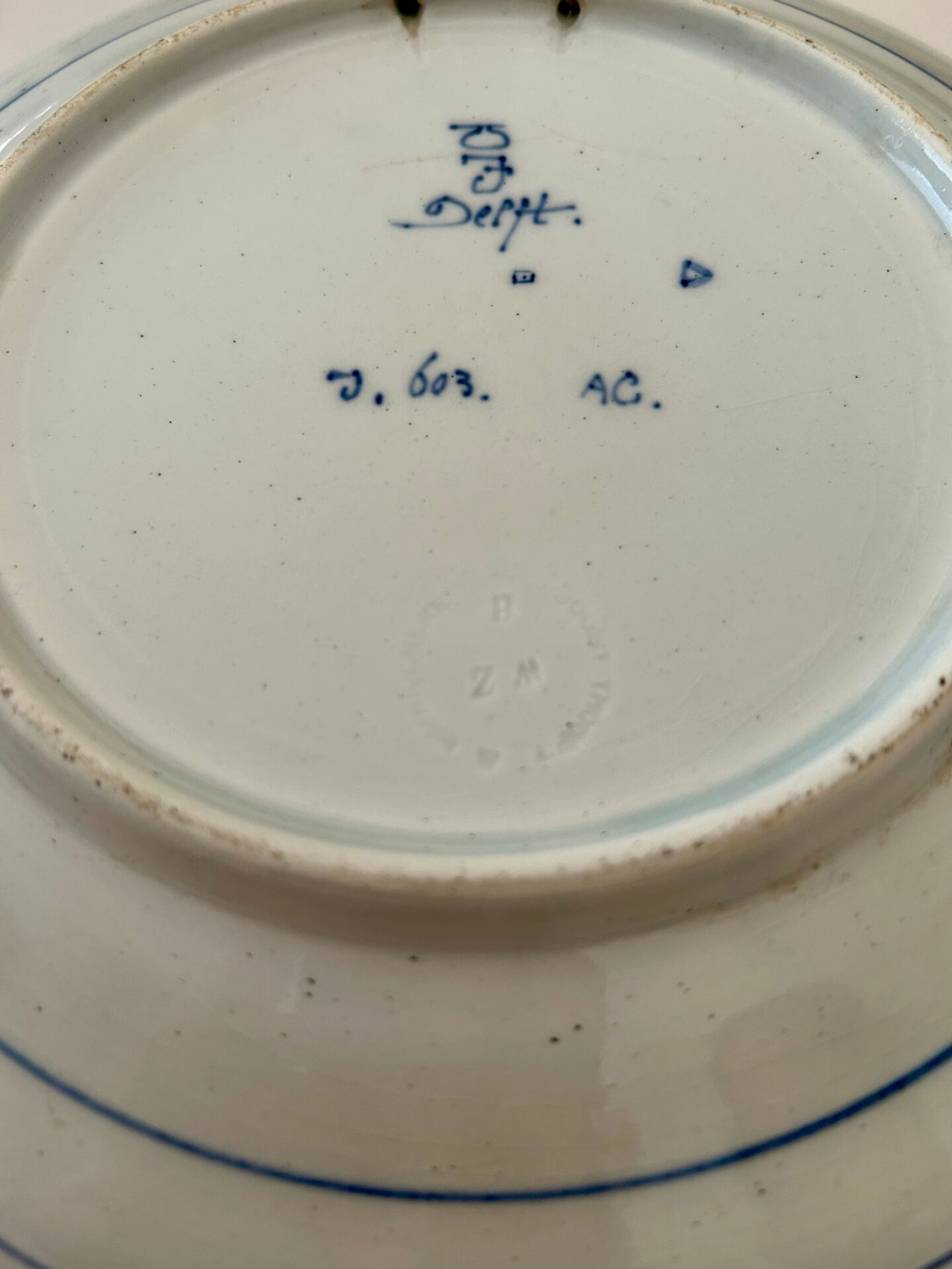 Decorative plate in blue Delft pottery