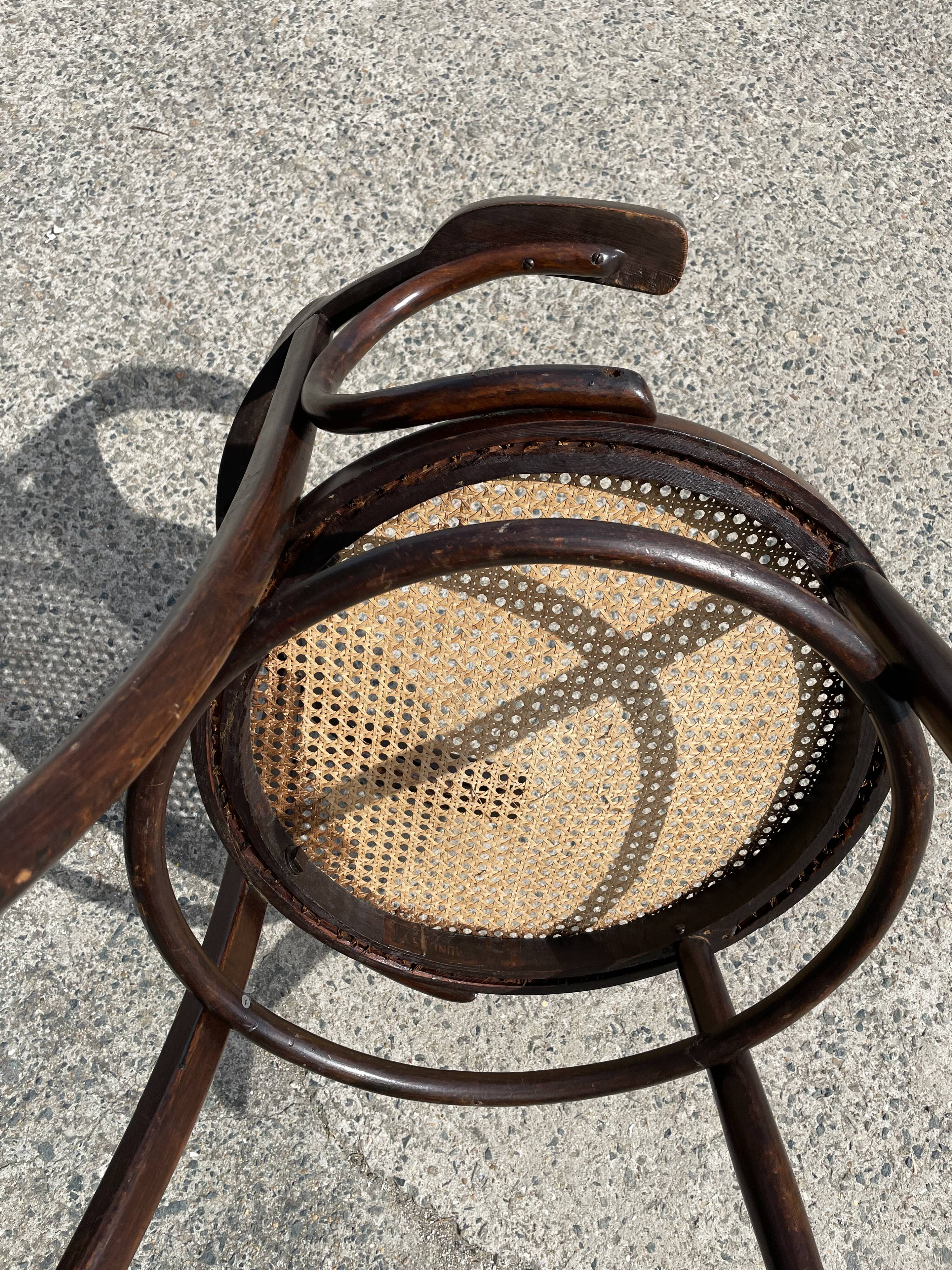 Canned office chair MUNDUS 1900