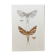 Impression vintage Insectes, illustration ancienne années 60