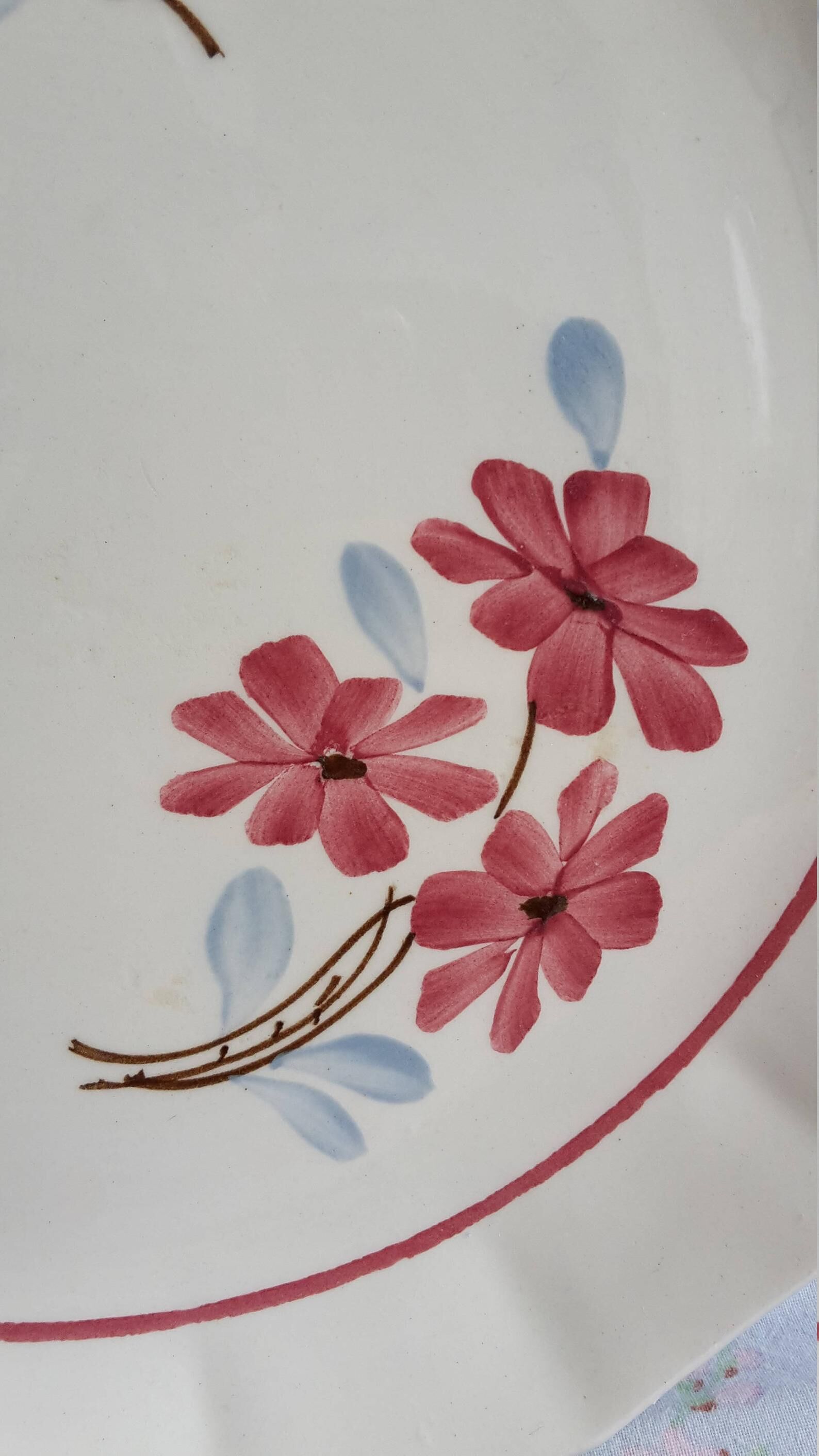 Pie dish with ceranord cakes