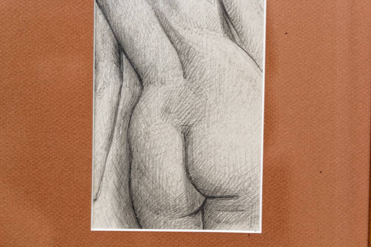Pencil drawing, female nude