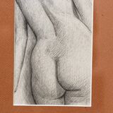 Pencil drawing, female nude