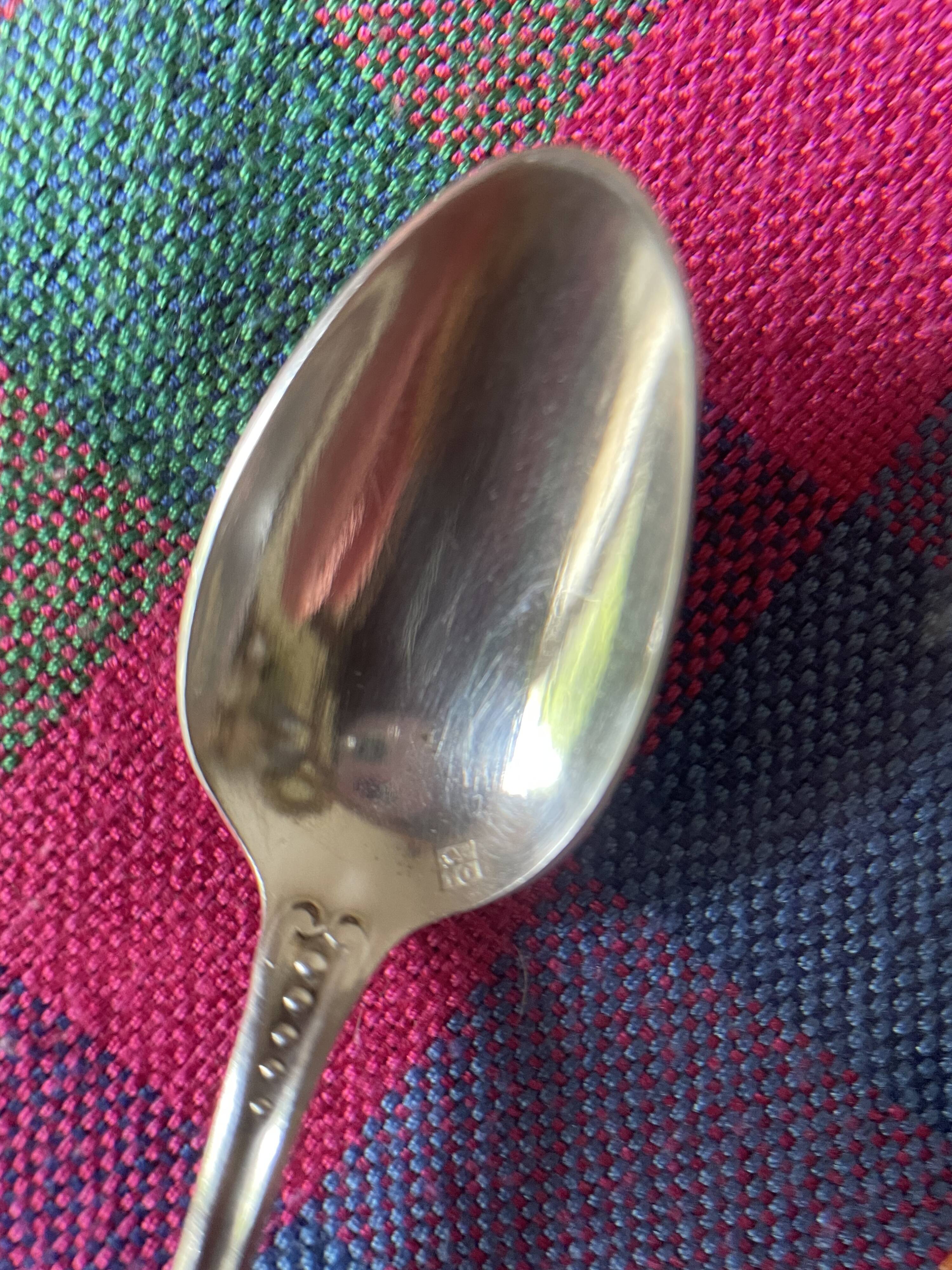 Apollo silver metal mocha spoons