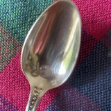 Apollo silver metal mocha spoons