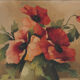 Bouquet of poppies