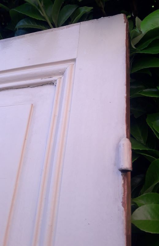 Communication door 199,2x82,8cm old molded