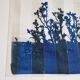 Cyanotype photo bichromy