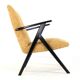 mid century modern vintage Armchair 'De Lier' - fully restored