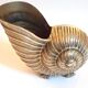 Champagne bucket shell shape Nautilus Giovanni Patrini brass Width 23.3 cm