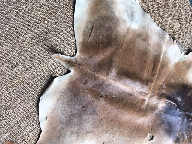 Cow skin rug 150x120cm
