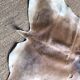Cow skin rug 150x120cm