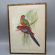 Engraving of ancient birds