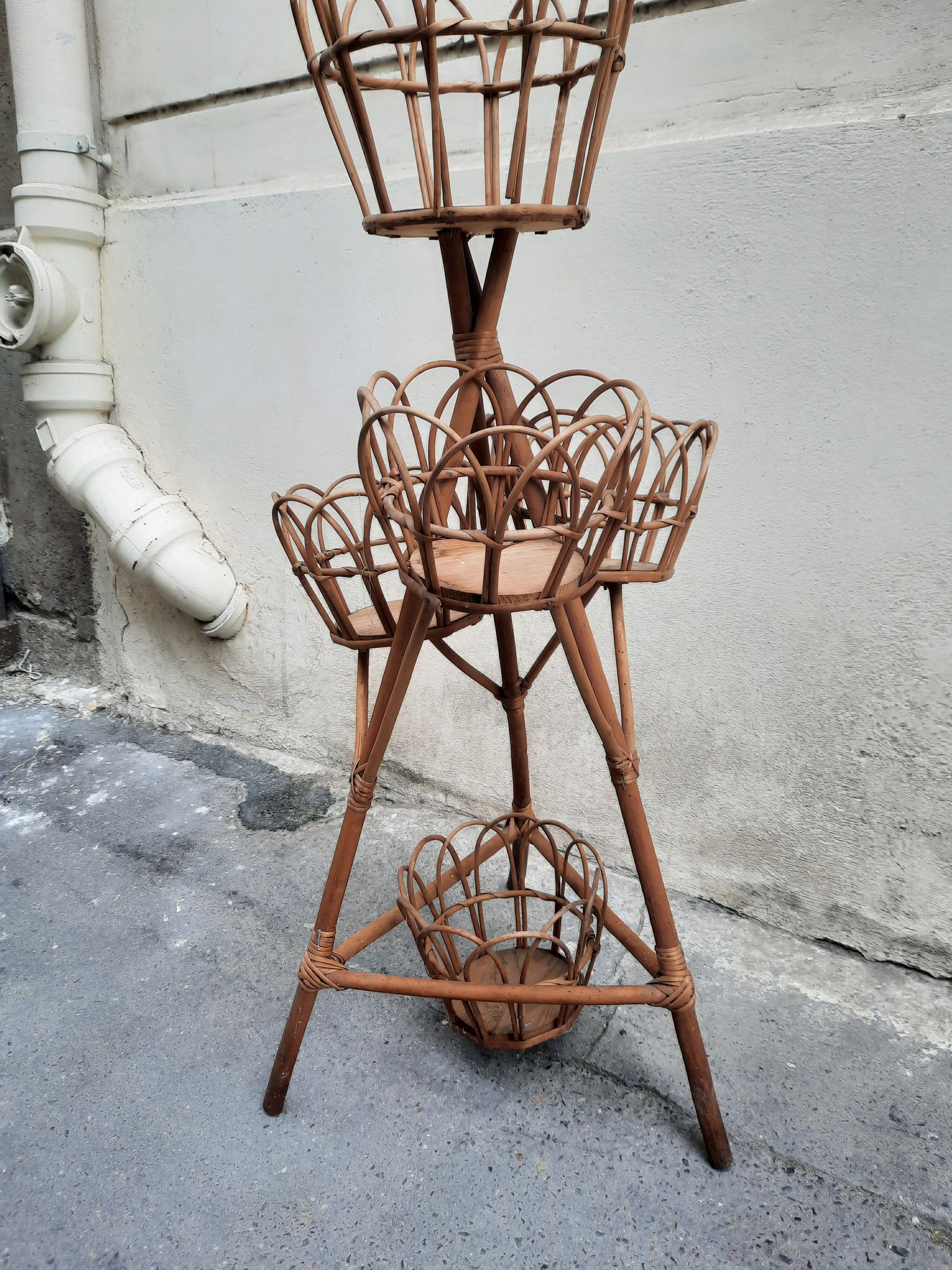 Rattan plant holder