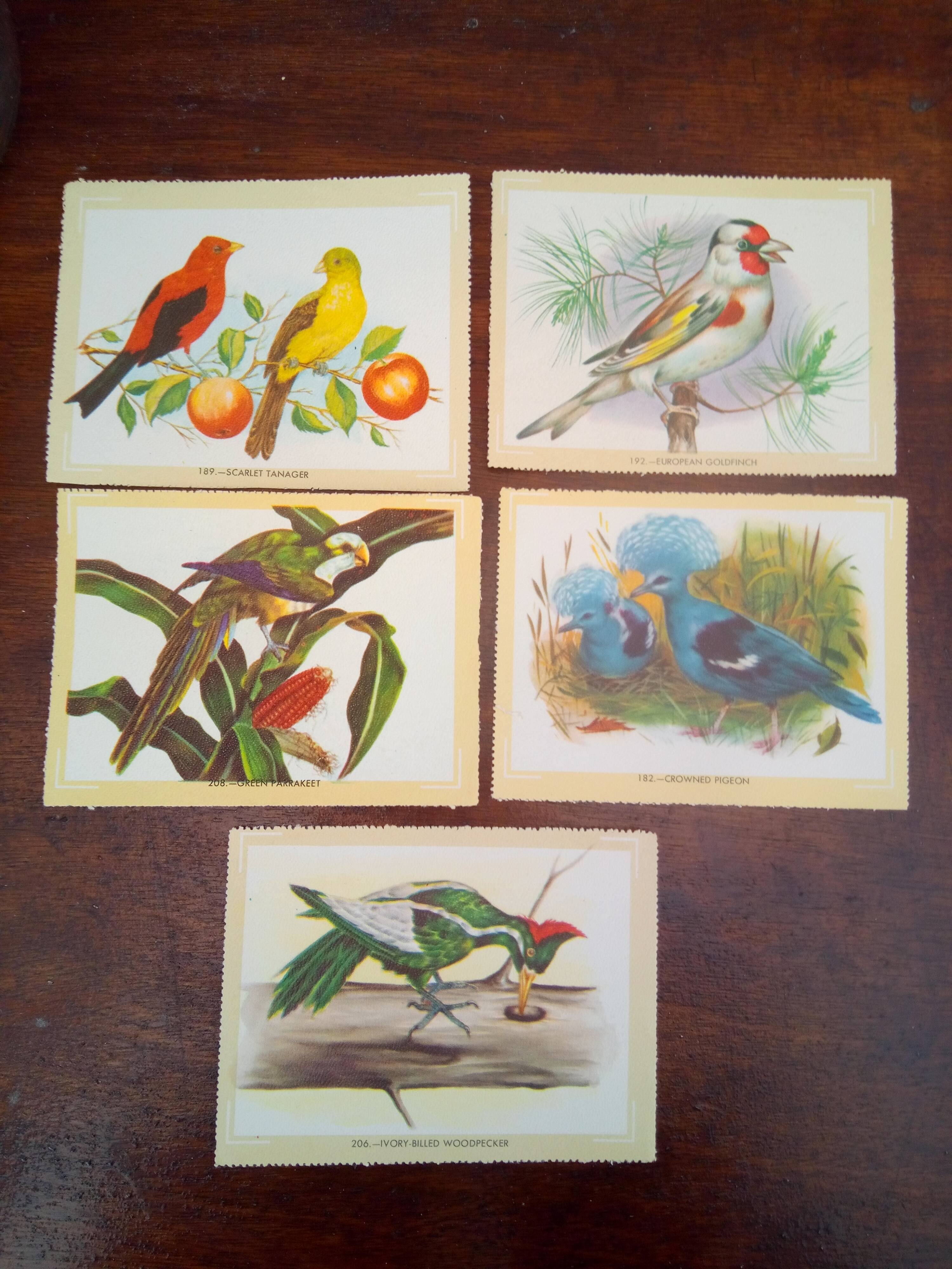 lot of zoological posters, birds, 60s