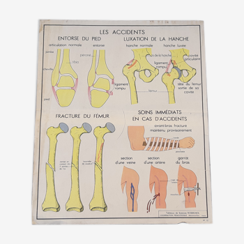 Rossignol educational posters