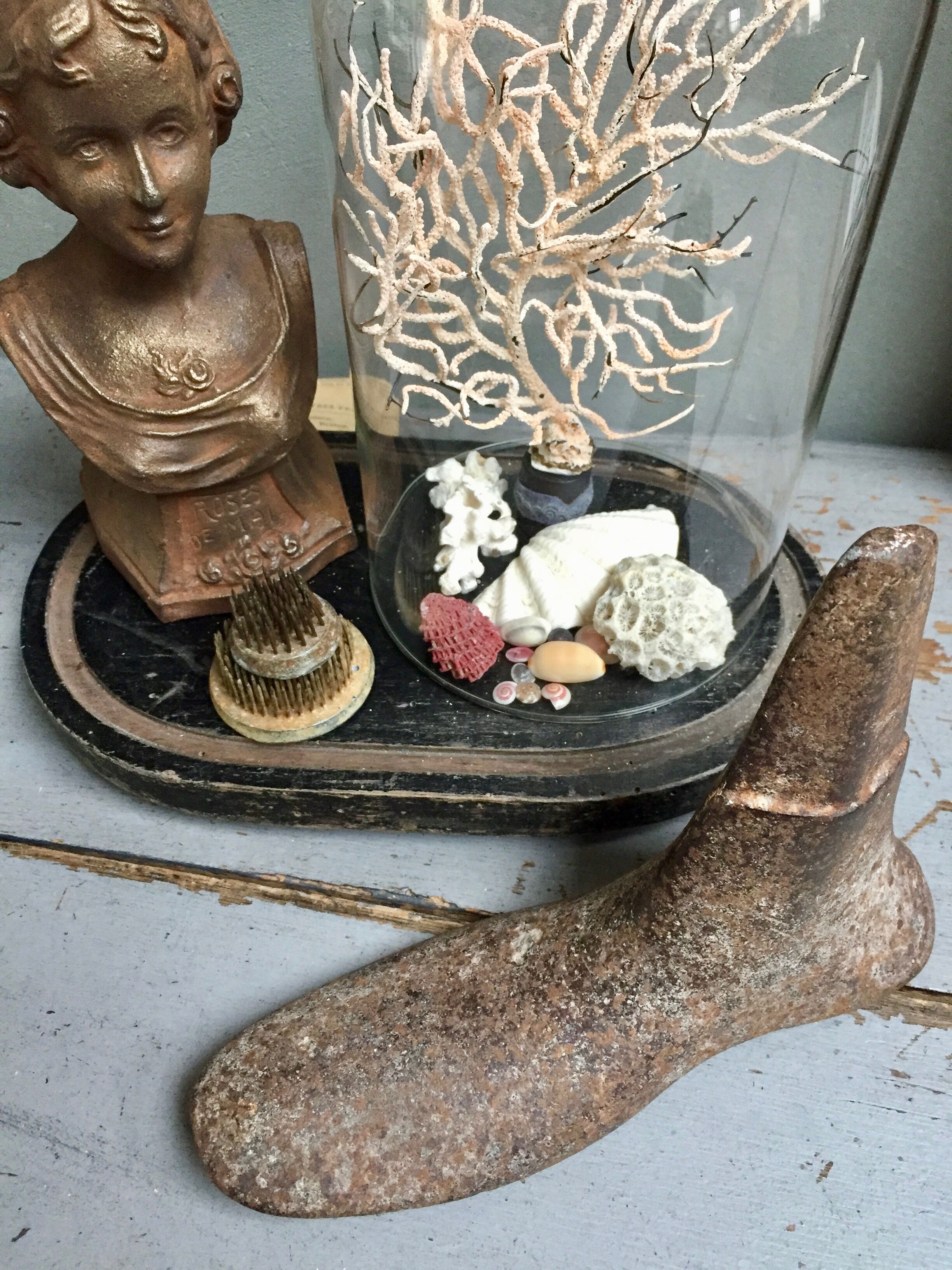 Former cobbler's anclume