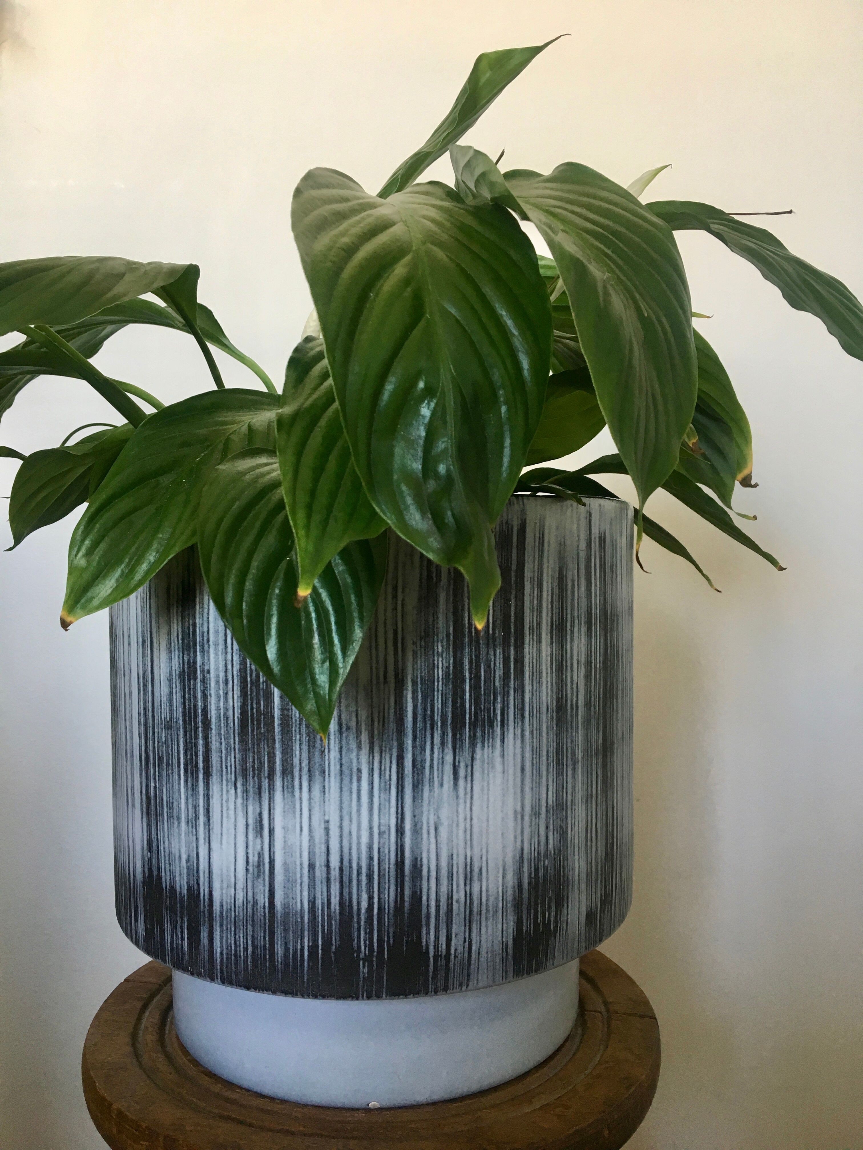 Ceramic pot cover, 60s-70s