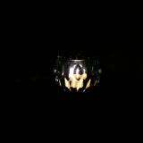 Bougeoir photophore verre vert