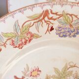 8 assiettes plates Sarreguemines décor Minton