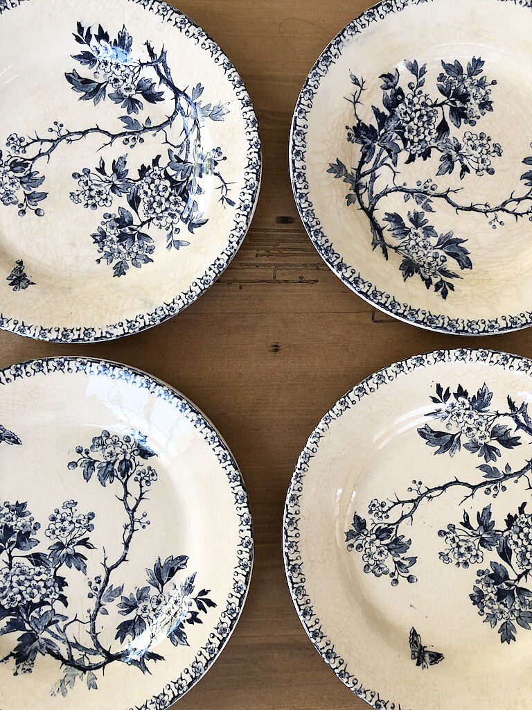 11 plates Terre de Fer Aubepine