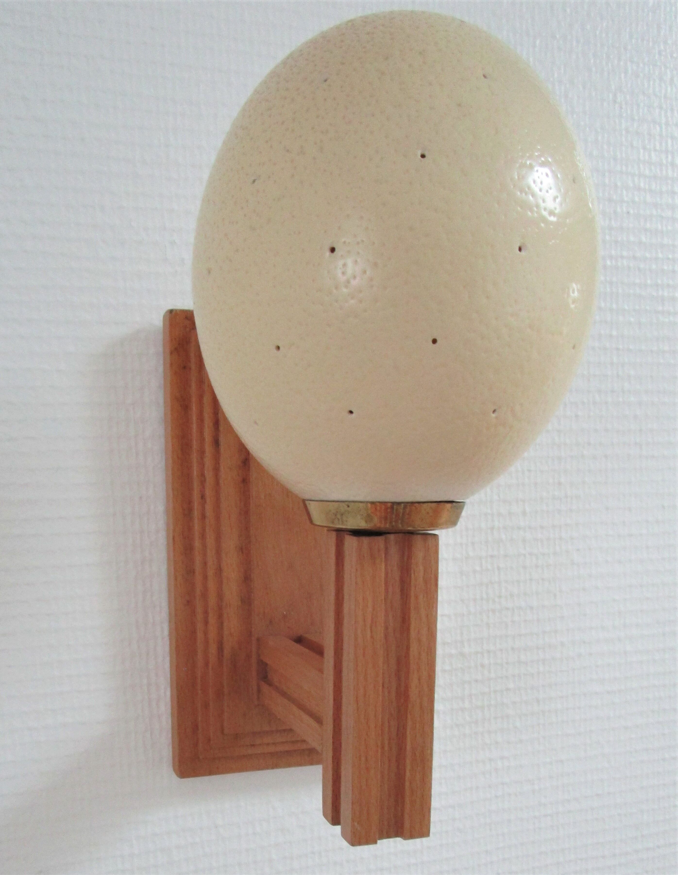 Ostrich egg wall lamp and vintage wood