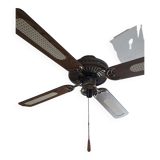 Palm fan light