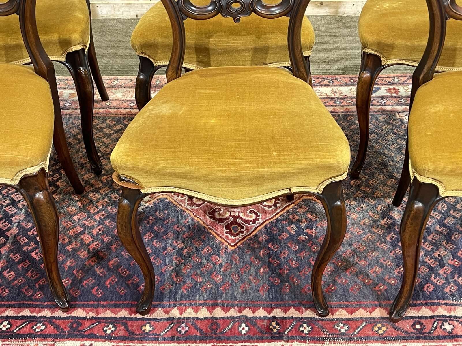 Set of 6 19th century English chairs in walnut
