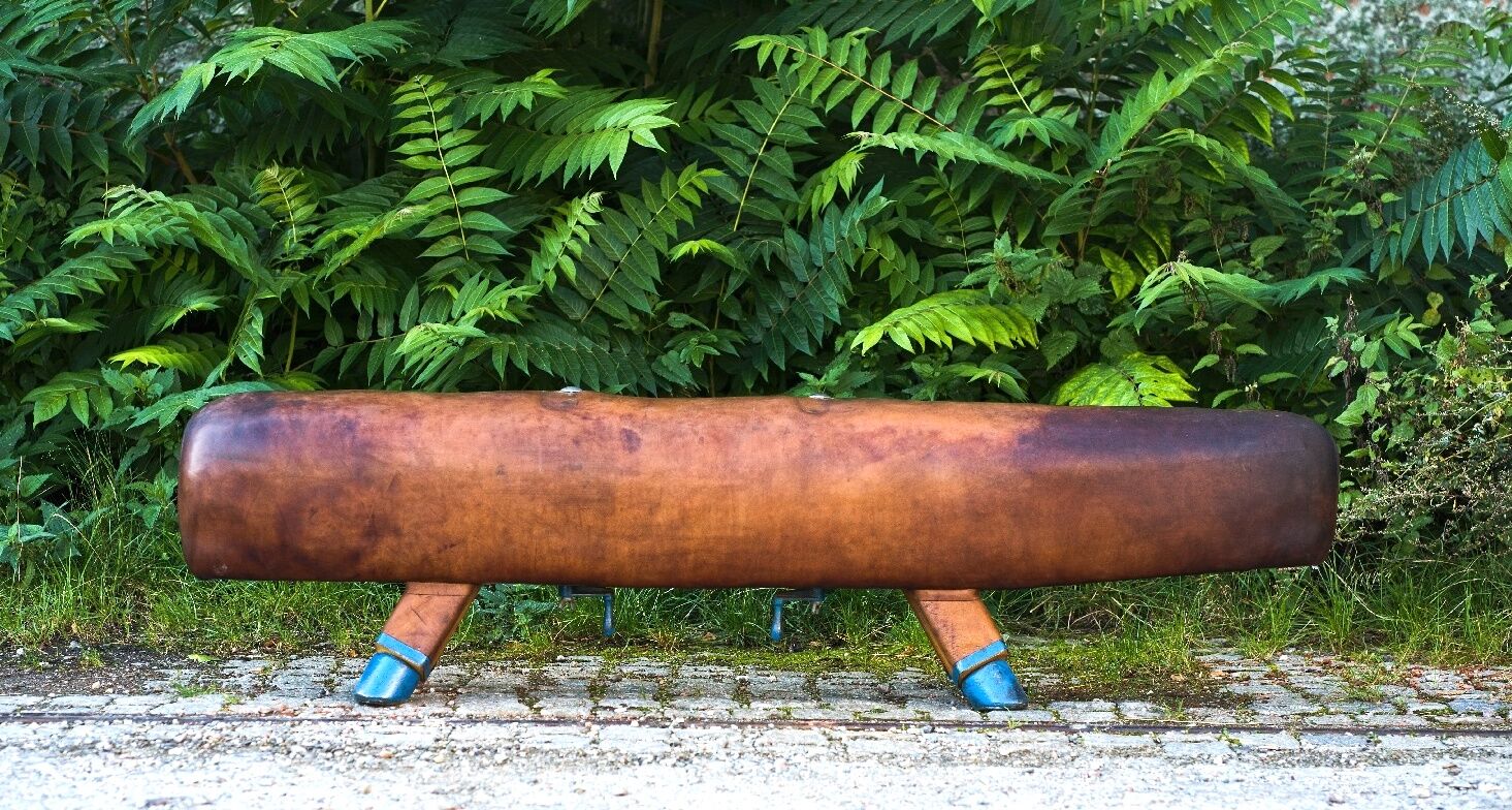 Gymnastic Leather Pommel Horse Bench with Wooden Handles, 1920s