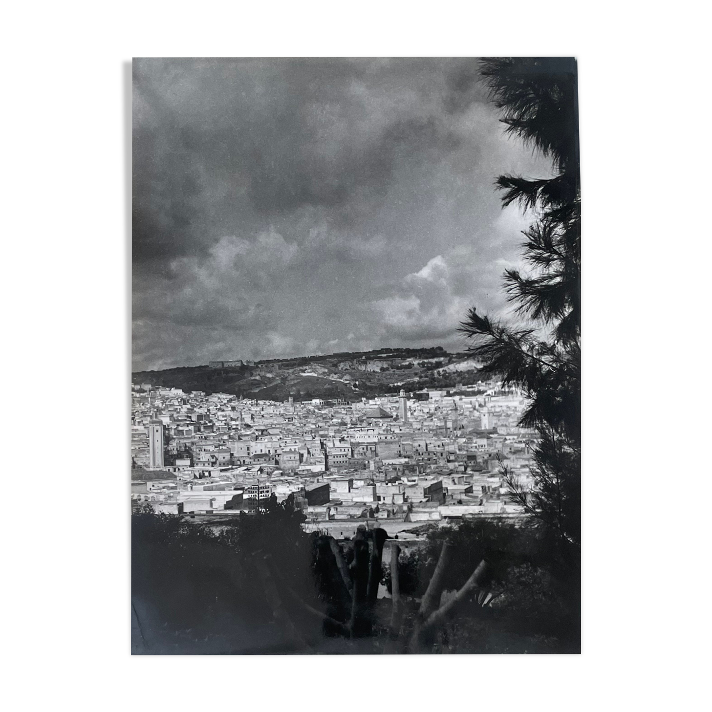 Photographie ancienne noir et blanc argentique début XX
